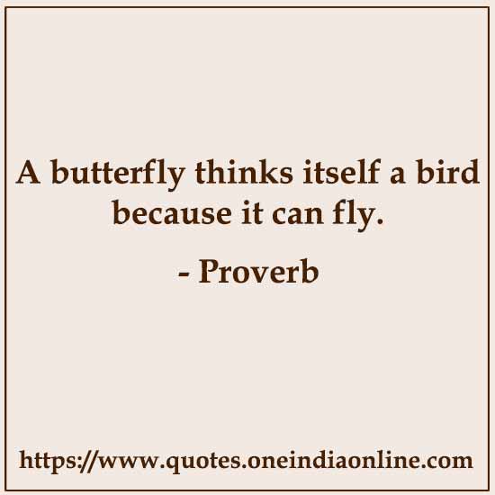 A butterfly thinks itself a bird because it can fly.

Proverbs of the Day in English African Proverbs
