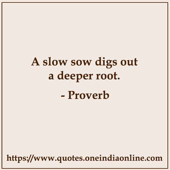 A slow sow digs out a deeper root.
