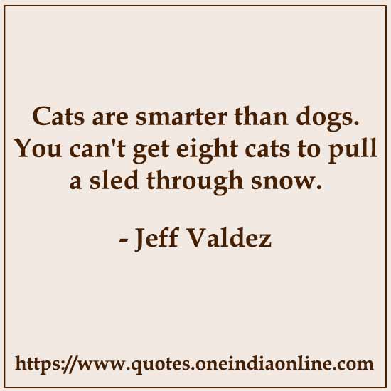 Cats are smarter than dogs. You can't get eight cats to pull a sled through snow.

- Quotes by Jeff Valdez 