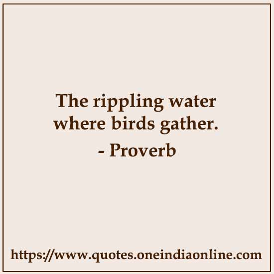 The rippling water where birds gather.