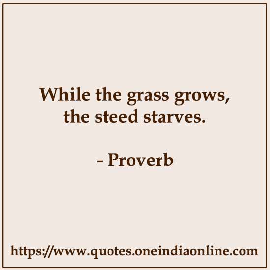 While the grass grows, the steed starves.

- Italian