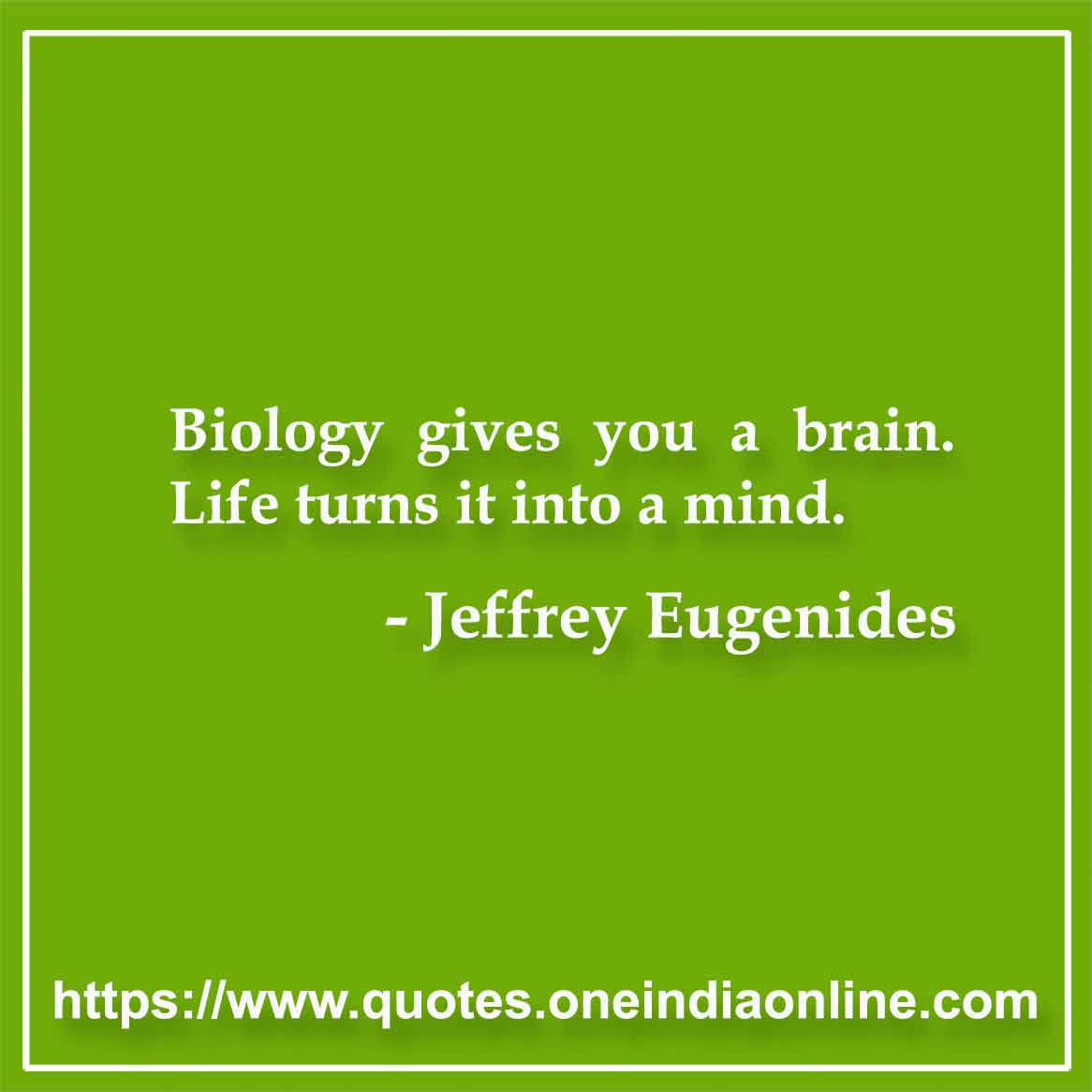 Biology gives you a brain. Life turns it into a mind.

- Jeffrey Eugenides