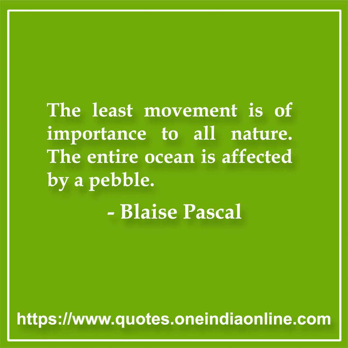The least movement is of importance to all nature. The entire ocean is affected by a pebble. 

-  by Blaise Pascal