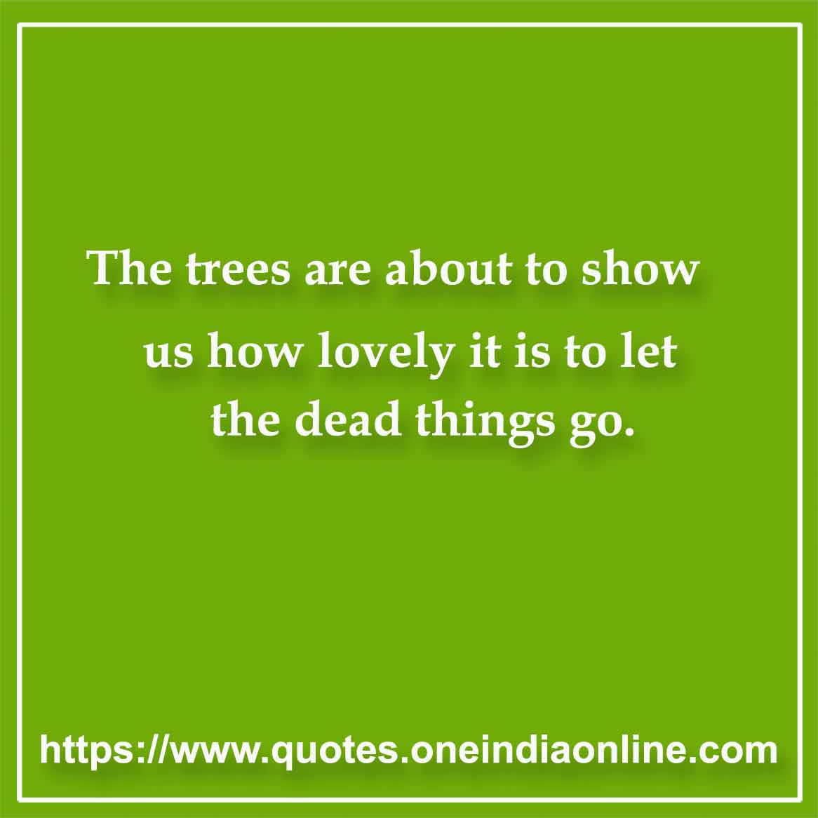 The trees are about to show us how lovely it is to let the dead things go.