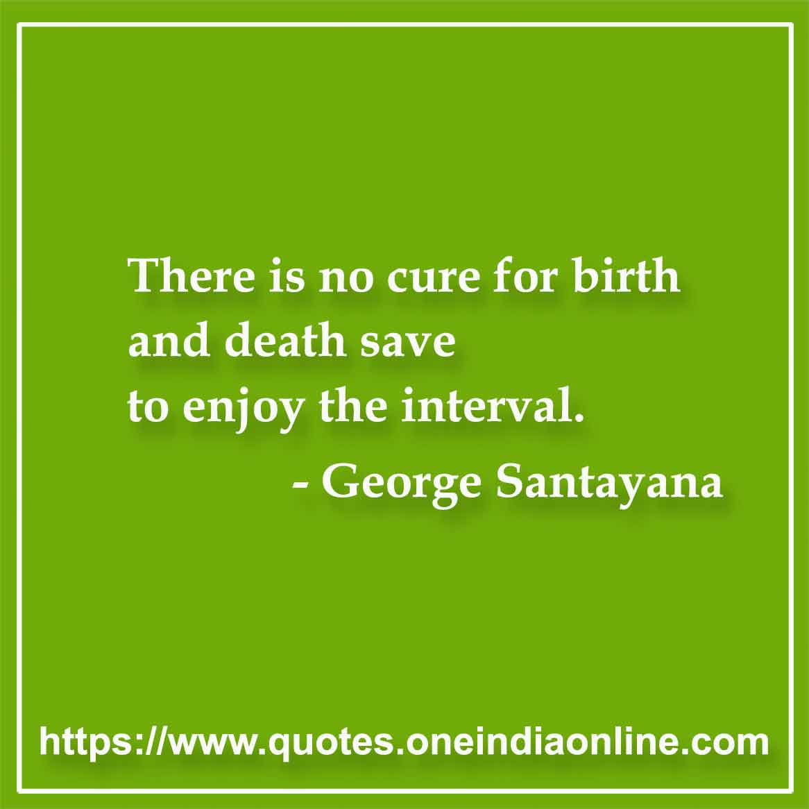 There is no cure for birth and death save to enjoy the interval.

- George Santayana Quotes