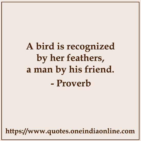 A bird is recognized by her feathers, a man by his friend.