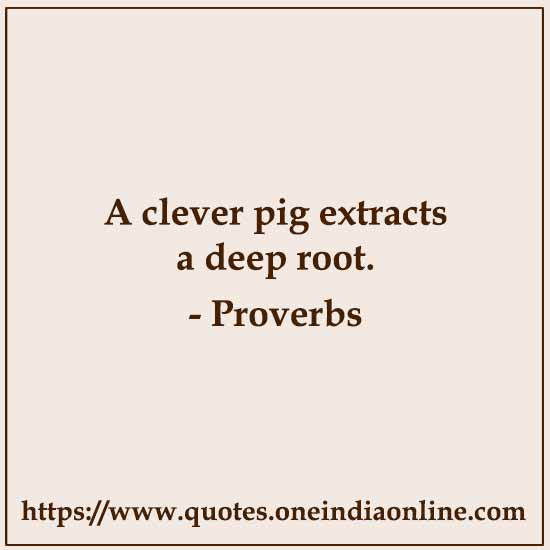 A clever pig extracts a deep root.

