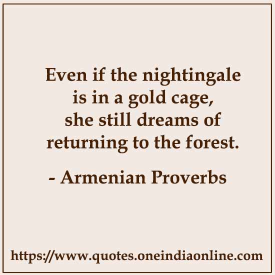 Even if the nightingale is in a gold cage, she still dreams of returning to the forest.

