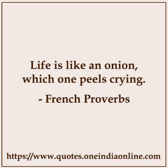 Life is like an onion, which one peels crying.

French Proverbs About Life