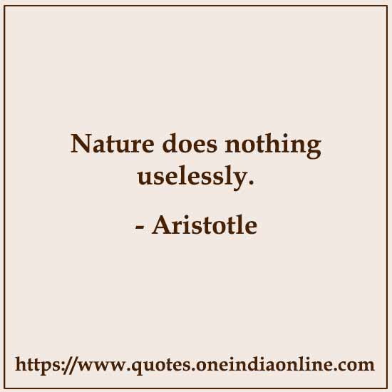 Nature does nothing uselessly. 

- Aristotle Quotes