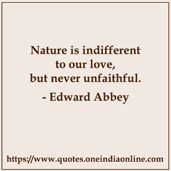 Nature is indifferent to our love, but never unfaithful. 

- Edward Abbey
