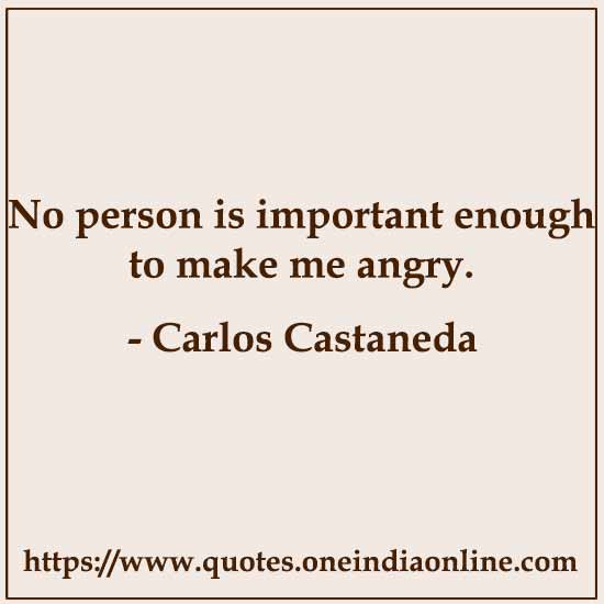 No person is important enough to make me angry.

- Carlos Castaneda Quotes