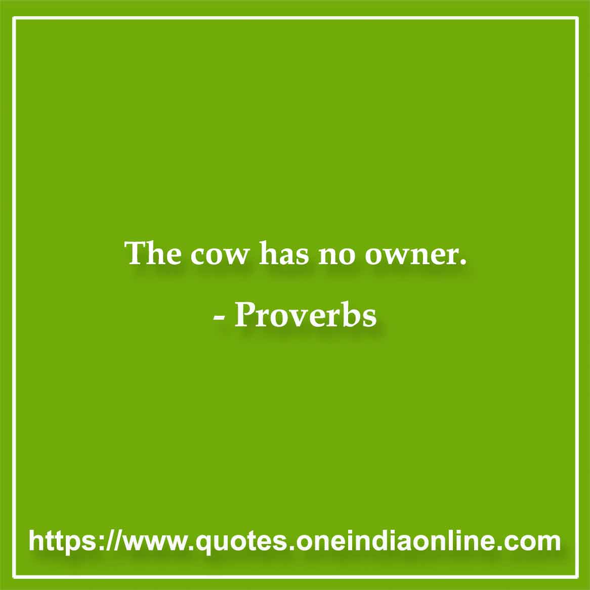 The cow has no owner.
