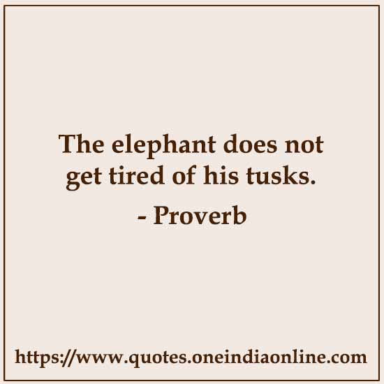 The elephant does not get tired of his tusks.