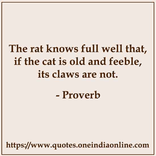 The rat knows full well that, if the cat is old and feeble, its claws are not.