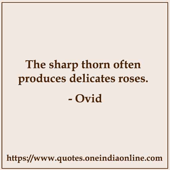 The sharp thorn often produces delicates roses.

- Ovid 