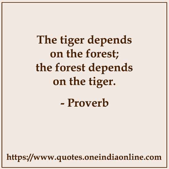 The tiger depends on the forest; the forest depends on the tiger.