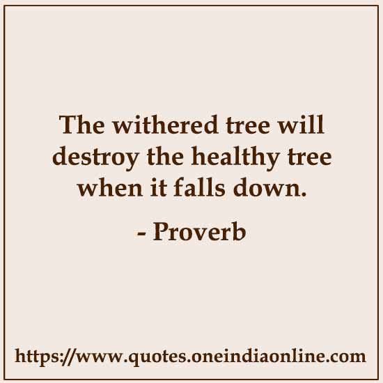 The withered tree will destroy the healthy tree when it falls down.