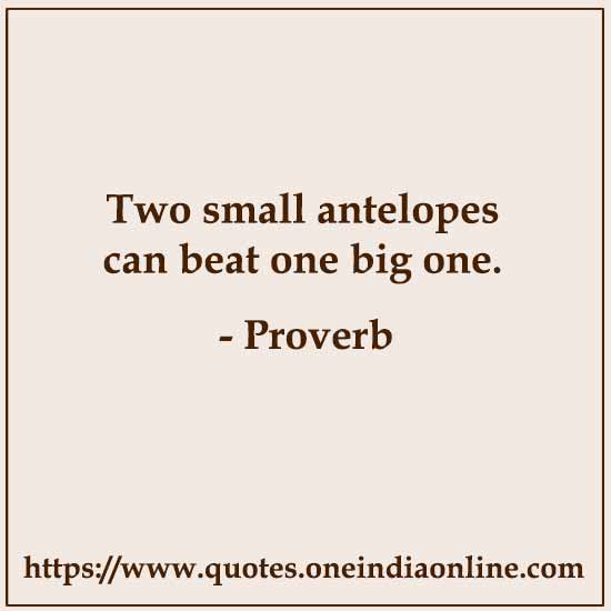 Two small antelopes can beat one big one.