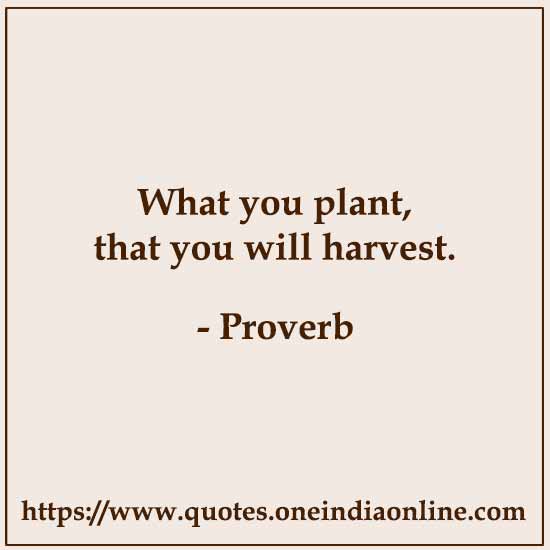 What you plant, that you will harvest.


