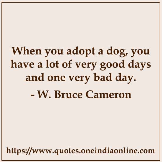 When you adopt a dog, you have a lot of very good days and one very bad day.

- W. Bruce Cameron