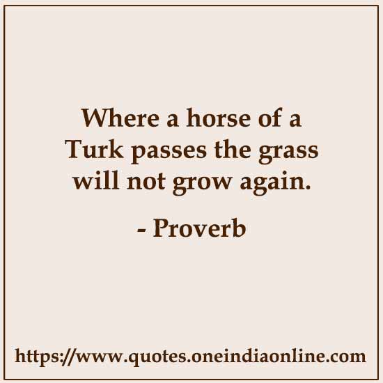 Where a horse of a Turk passes the grass will not grow again.
