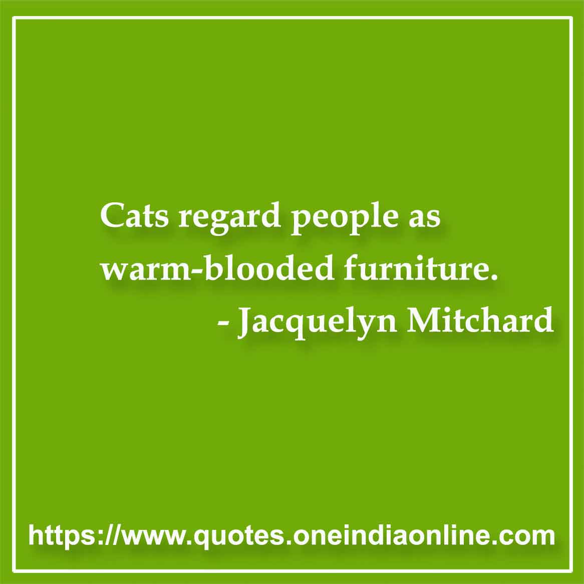 Cats regard people as warm-blooded furniture.

- Cat Quotes by Jacquelyn Mitchard