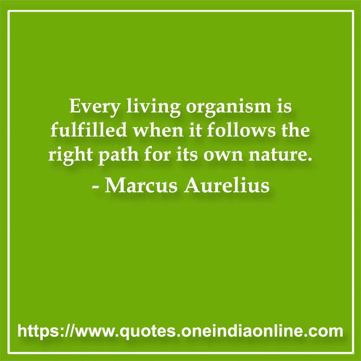 Every living organism is fulfilled when it follows the right path for its own nature. 

-  by Marcus Aurelius