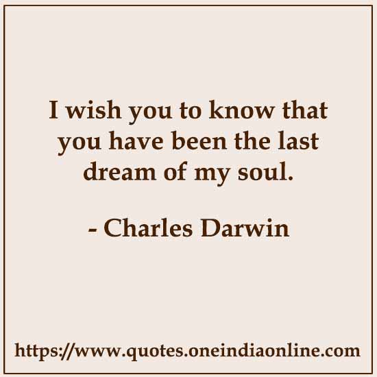 I wish you to know that you have been the last dream of my soul.